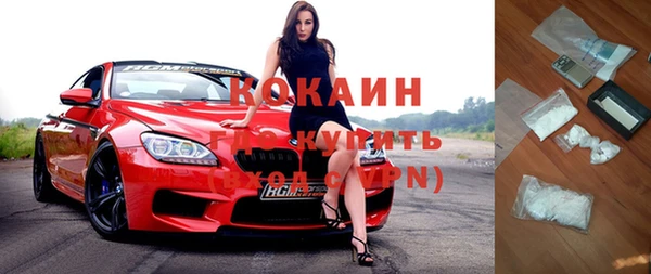 дмт Богданович