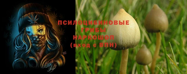 дмт Богданович