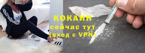 тгк Богородицк