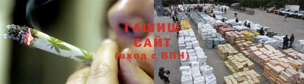 дмт Богданович