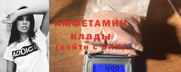 дмт Богданович