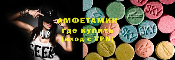 дмт Богданович
