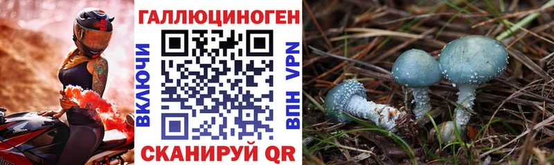 Псилоцибиновые грибы мухоморы  купить   Надым 
