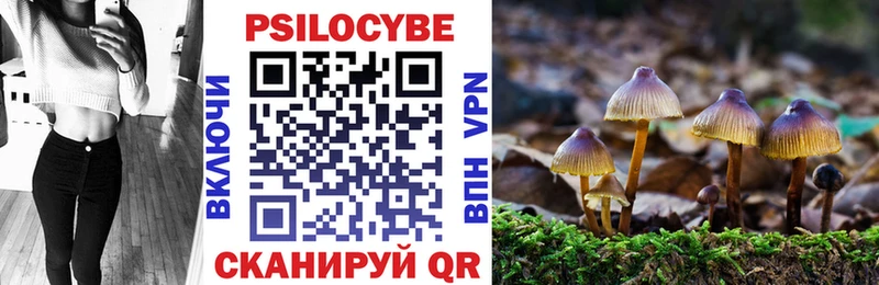 Галлюциногенные грибы прущие грибы Надым